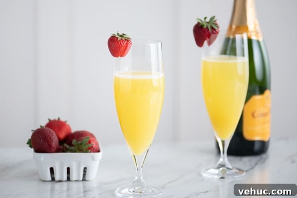 Classic Mimosa Cocktail Recipe: Sparkling Brunch Drink Guide 4 Garnish