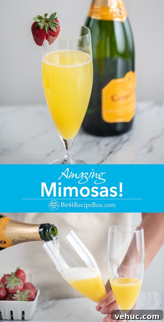 Mimosa Recipe with Sparkling Wine and Orange Juice | BestRecipeBox.com Mimosa Recipe with Sparkling Wine and Orange Juice in a glass pouring