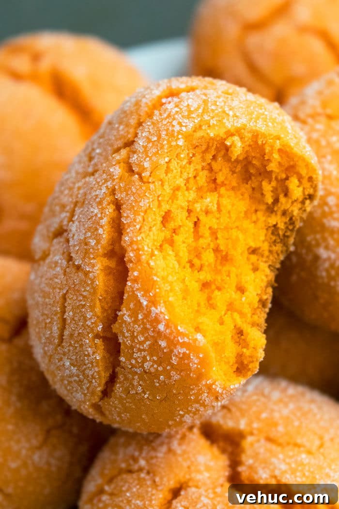 Partially Eaten Soft and Chewy Citrus Cookies-Closeup Shot. 