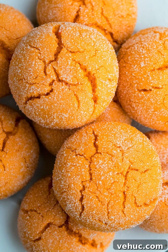 Closeup Shot of 2 Cookies on White Dish. 