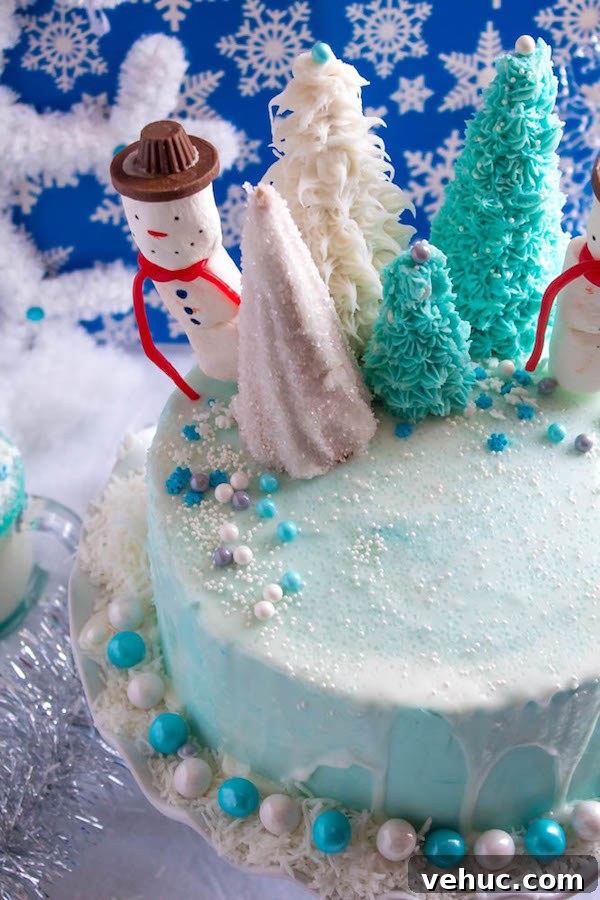 Winter Wonderland Cake: Snow-Drift Layer Cake Recipe 13 Decorated cake top
