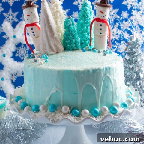Winter Wonderland Cake