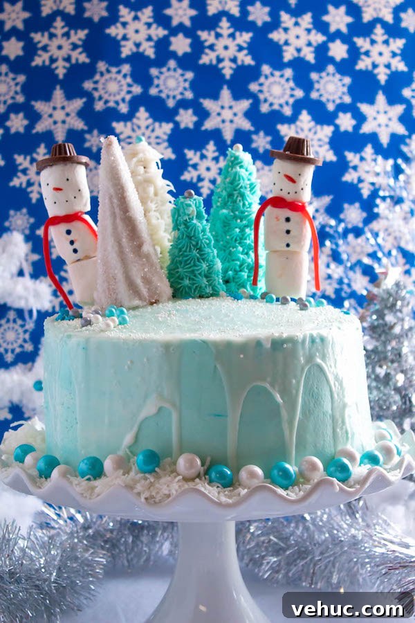 Winter Wonderland Cake: Snow-Drift Layer Cake Recipe 4 Winter Wonderland Cake top view