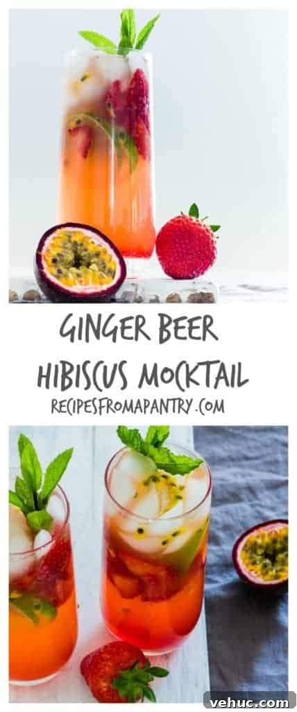 Ginger Beer & Hibiscus Mocktail Recipe from Africa 4 A refreshingly easy ginger beer hibiscus mocktail recipe that screams summer and all things exotic.
