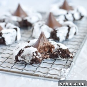 Cocoa Blossom Cookies Recipe: Soft Chocolate Flower Cookies 11 cookie on cooling rack with bite out of it.