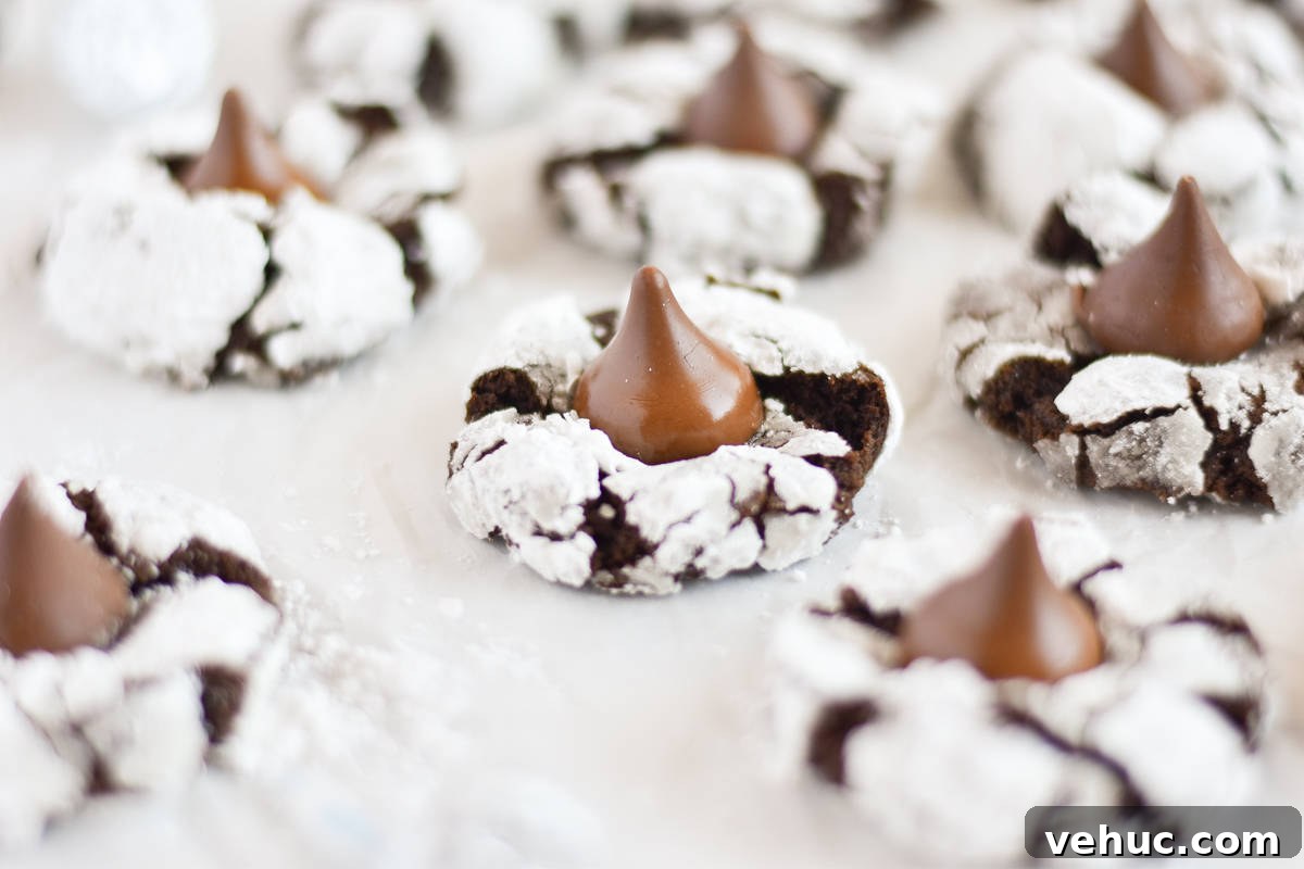 Cocoa Blossom Cookies Recipe: Soft Chocolate Flower Cookies 10 chocolate kiss cookie surrounded by lots of cookies.