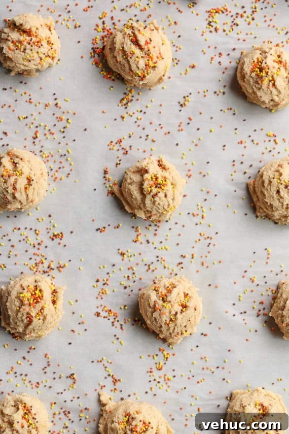Amish Cinnamon Brown Sugar Cookie Recipe for Soft, Spiced Cookies 6 Amish Brown Sugar Cinnamon Cookies