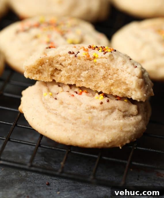 Amish Cinnamon Brown Sugar Cookie Recipe for Soft, Spiced Cookies 7 These Soft Amish Cinnamon Brown Sugar Cookies are thick, with a light, melty texture. Slightly crisp edges with a soft buttery center!