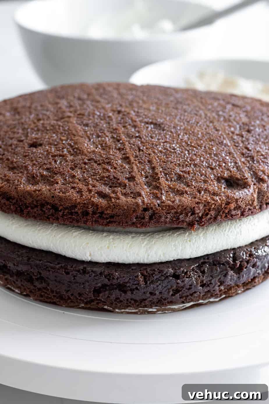 Decadent Chocolate Mocha Cake Recipe with Espresso Frosting 6 2 layer of chocolate cake with tiramisu cream in the middle