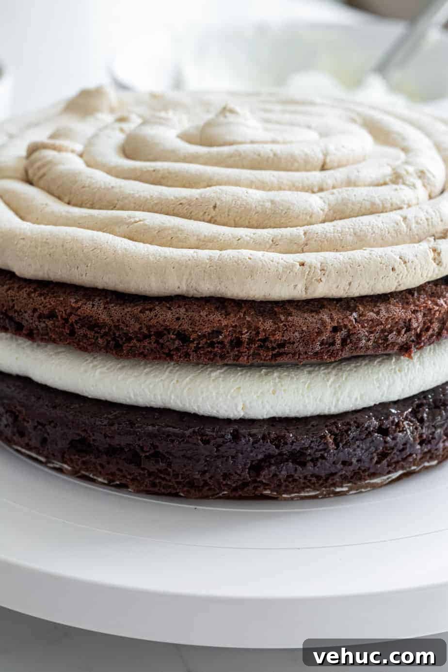 Decadent Chocolate Mocha Cake Recipe with Espresso Frosting 7 2 layers of chocolate cake with tiramisu filling and espresso cream filling
