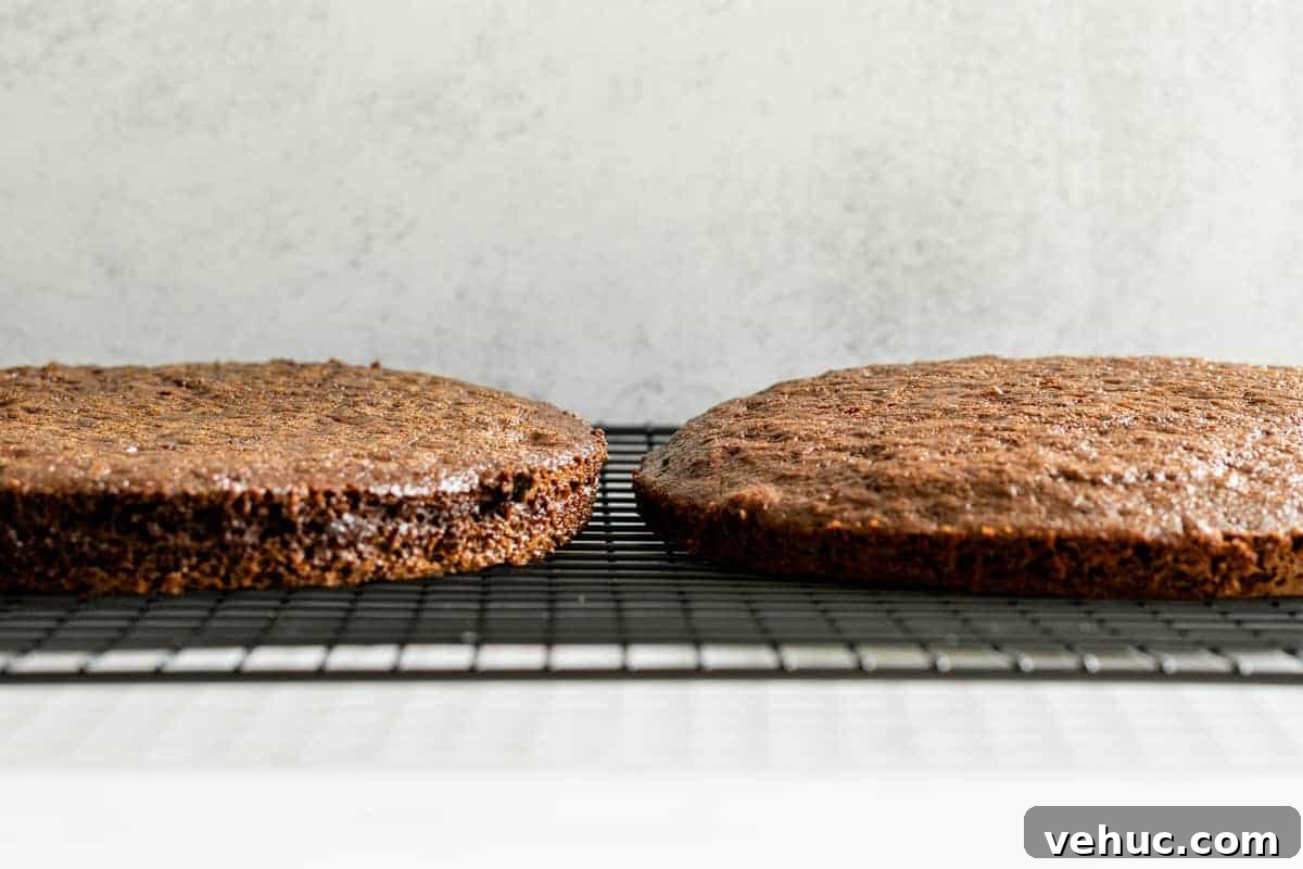 Decadent Chocolate Mocha Cake Recipe with Espresso Frosting 8 2 chocolate cake layers on a black wire cooling rack