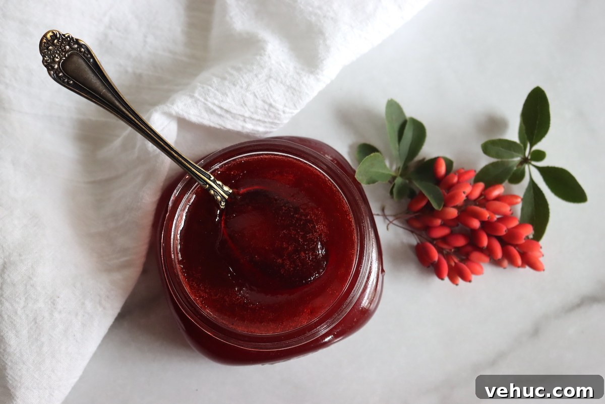Barberry Jam Recipe: How to Make Tangy Iranian Zereshk Jam 2 Barberry Jam