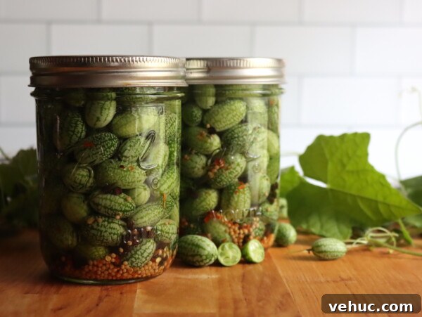 Barberry Jam Recipe: How to Make Tangy Iranian Zereshk Jam 10 Cucamelon Pickles
