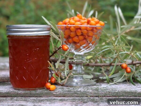 Barberry Jam Recipe: How to Make Tangy Iranian Zereshk Jam 11 Seaberry Jelly