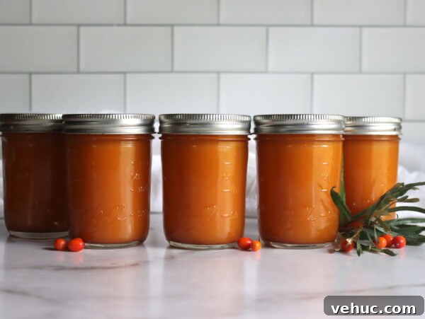 Barberry Jam Recipe: How to Make Tangy Iranian Zereshk Jam 12 Canned Seaberry Juice
