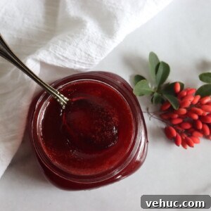 Barberry Jam Recipe: How to Make Tangy Iranian Zereshk Jam 13 Barberry Jam
