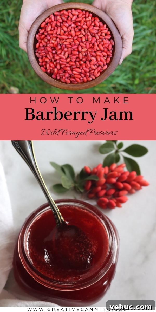 Barberry Jam Recipe: How to Make Tangy Iranian Zereshk Jam 14 How to Make Barberry Jam