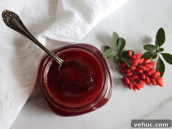 Barberry Jam Recipe: How to Make Tangy Iranian Zereshk Jam 9 Barberry Jam