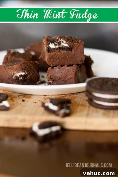 15 Irresistible Chocolate Recipes for Whimsy Wednesday 4 Thin-Mint-Fudge-with-Oreos