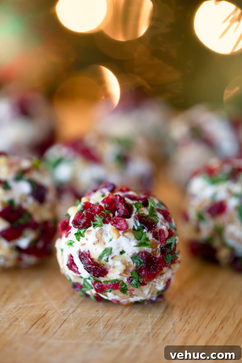 Candied Pecan Cranberry Goat Cheese Bites for Holiday Appetizers 3 Cranberry Goat Cheese Ball Truffles