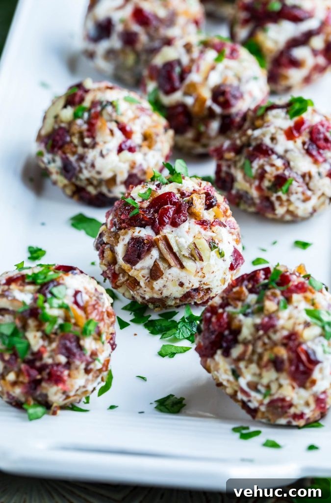 Candied Pecan Cranberry Goat Cheese Bites for Holiday Appetizers 4 Mini Candied Pecan Cranberry Goat Cheese Balls