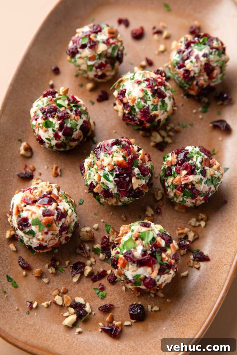 Candied Pecan Cranberry Goat Cheese Bites for Holiday Appetizers 8 serving platter of mini cranberry pecan goat cheese balls