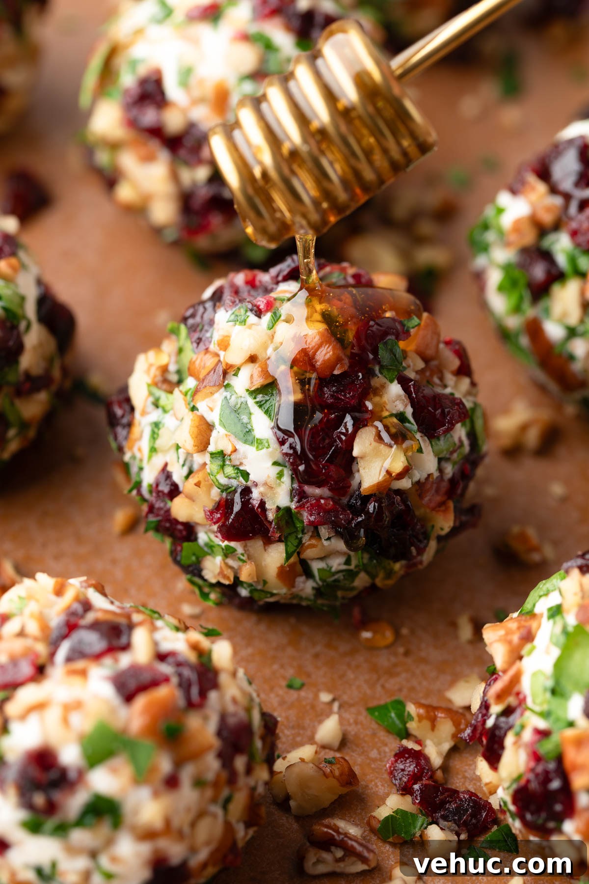 Candied Pecan Cranberry Goat Cheese Bites for Holiday Appetizers 10 img 23839 9