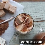 hot cocoa & marshmallows