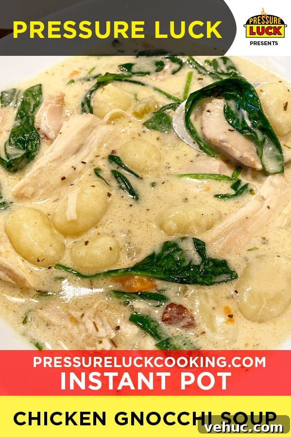 Instant Pot Chicken Gnocchi Soup Recipe for Creamy Comfort 2 img 24783 1