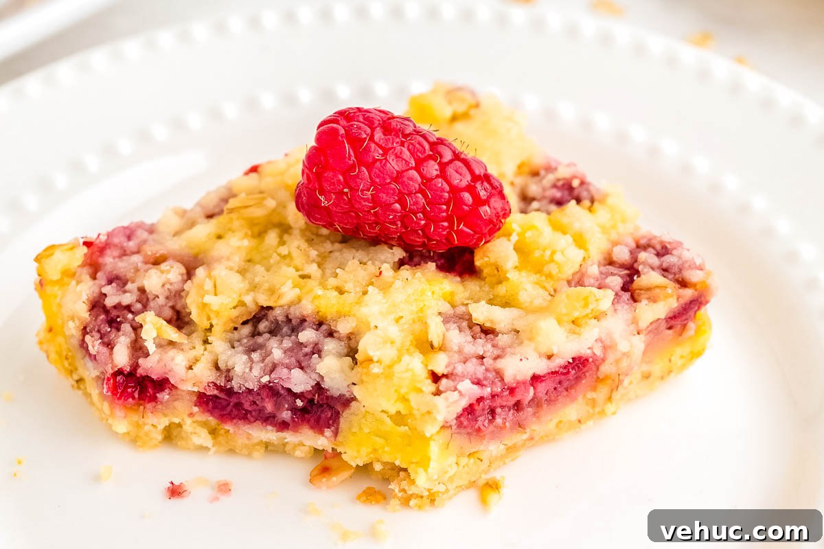 Chewy Raspberry Oat Bars with Homemade Jam Filling 3 A raspberry bar on a white plate.