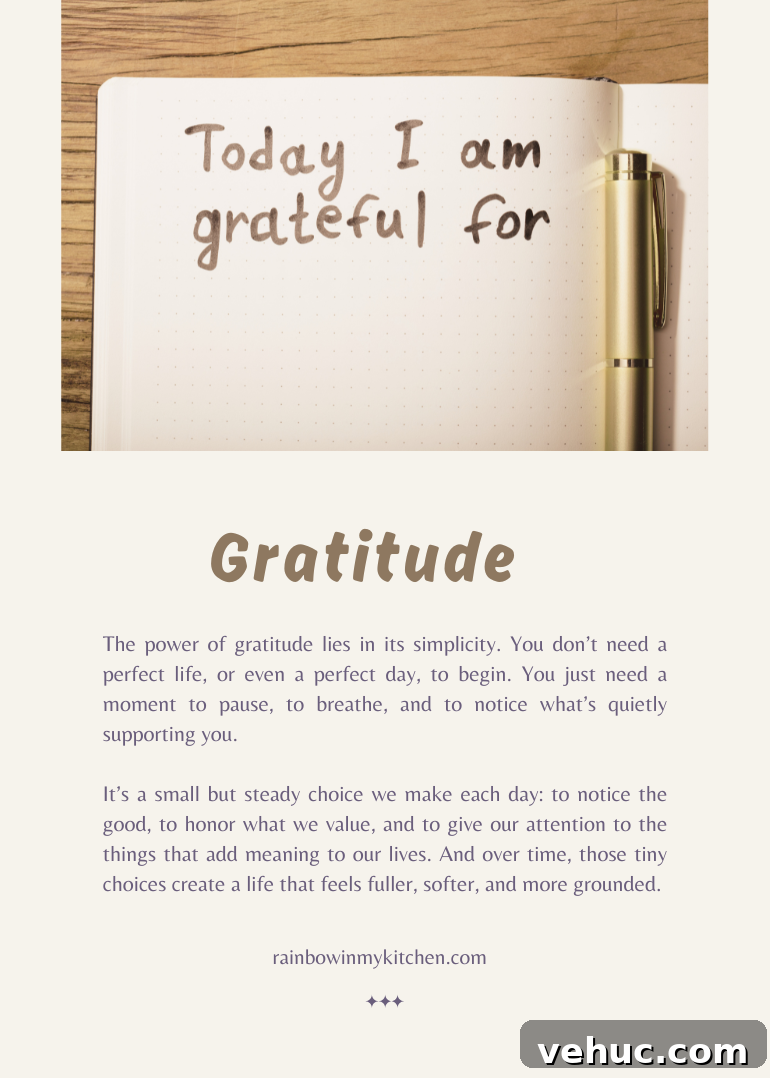 How Gratitude Transforms Your Life: Science-Backed Benefits and Tips 4 The Power of Gratitude: How It Shapes Your Life
