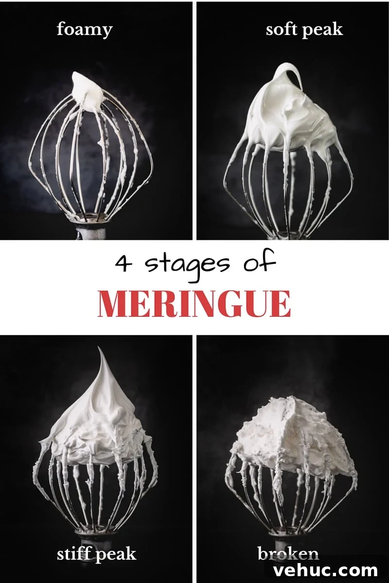 How to Make Perfect Meringue: Techniques, Tips & Troubleshooting 5 Everything you need to know about making a meringue. Plus, 6 tips to achieve the most stable French meringue and visual cues for 3 stages of meringue. #meringue
