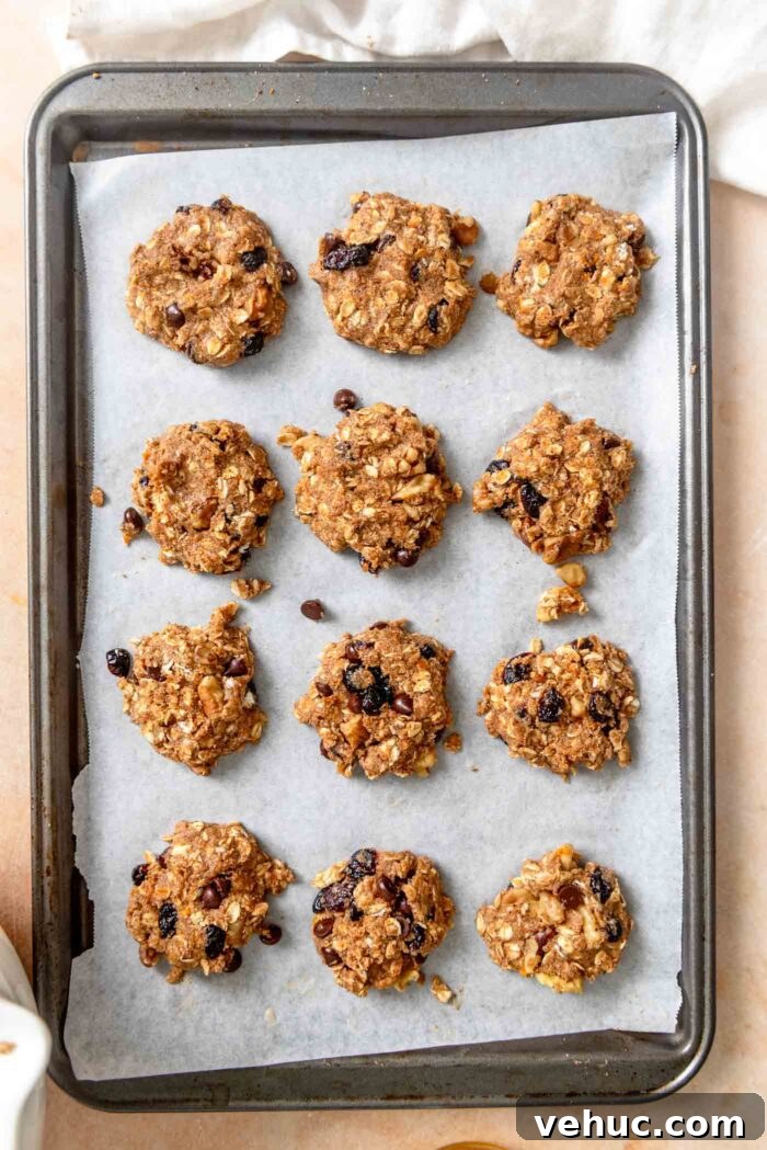 Cranberry Orange Oatmeal Cookies (Vegan Recipe) 7 12 cranberry orange oatmeal cookies on a baking sheet lined with parchment paper.