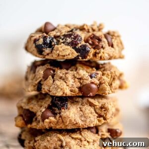 Cranberry Orange Oatmeal Cookies (Vegan Recipe) 10 Stack of 4 oatmeal cookies with cranberries, walnuts and chocolate chips in them sitting on the edge of a wire baking rack.
