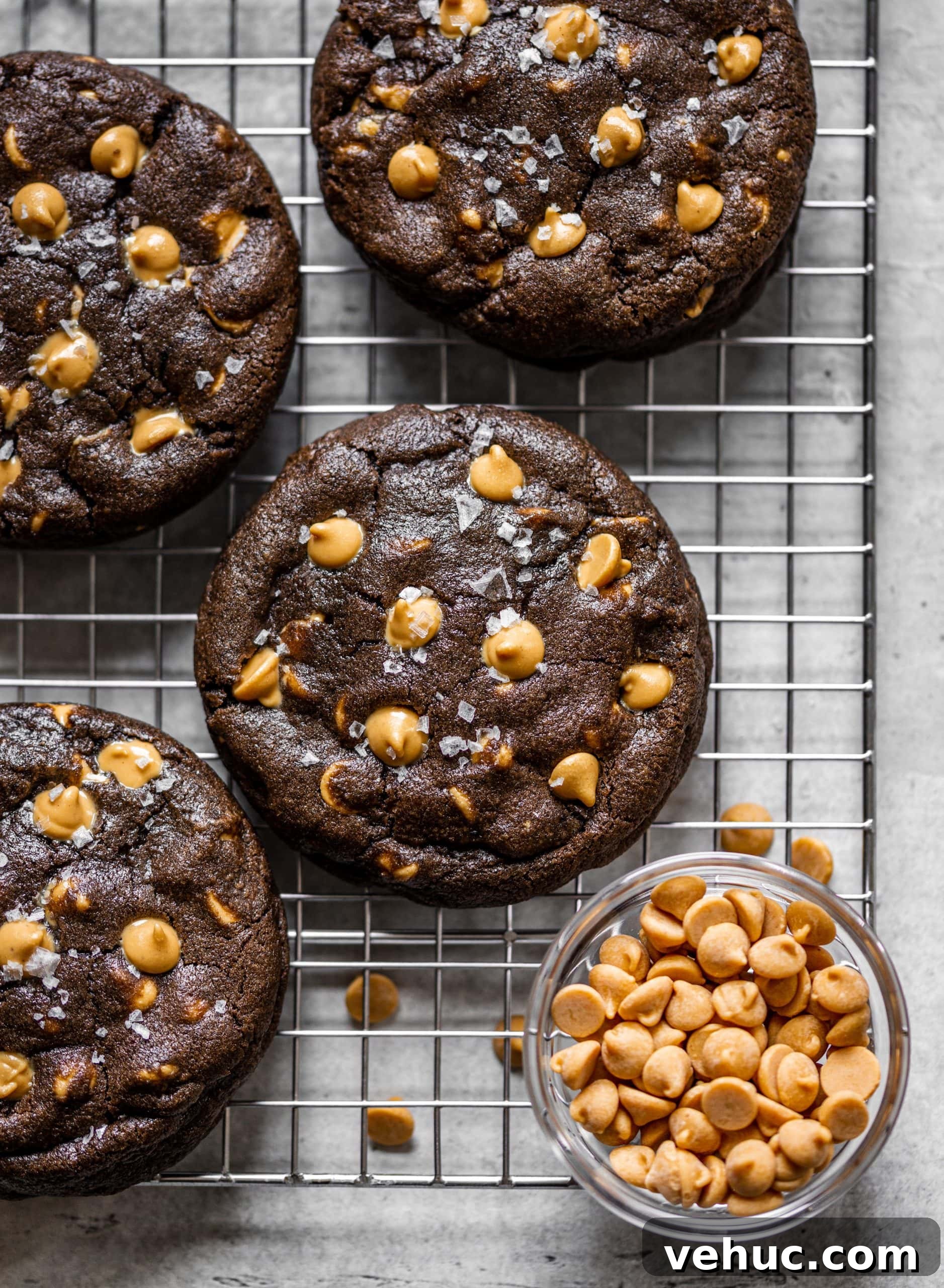 Copycat Levain Dark Chocolate Peanut Butter Chip Cookies 2 Copycat Levain Bakery Dark Chocolate Peanut Butter Chip Cookies