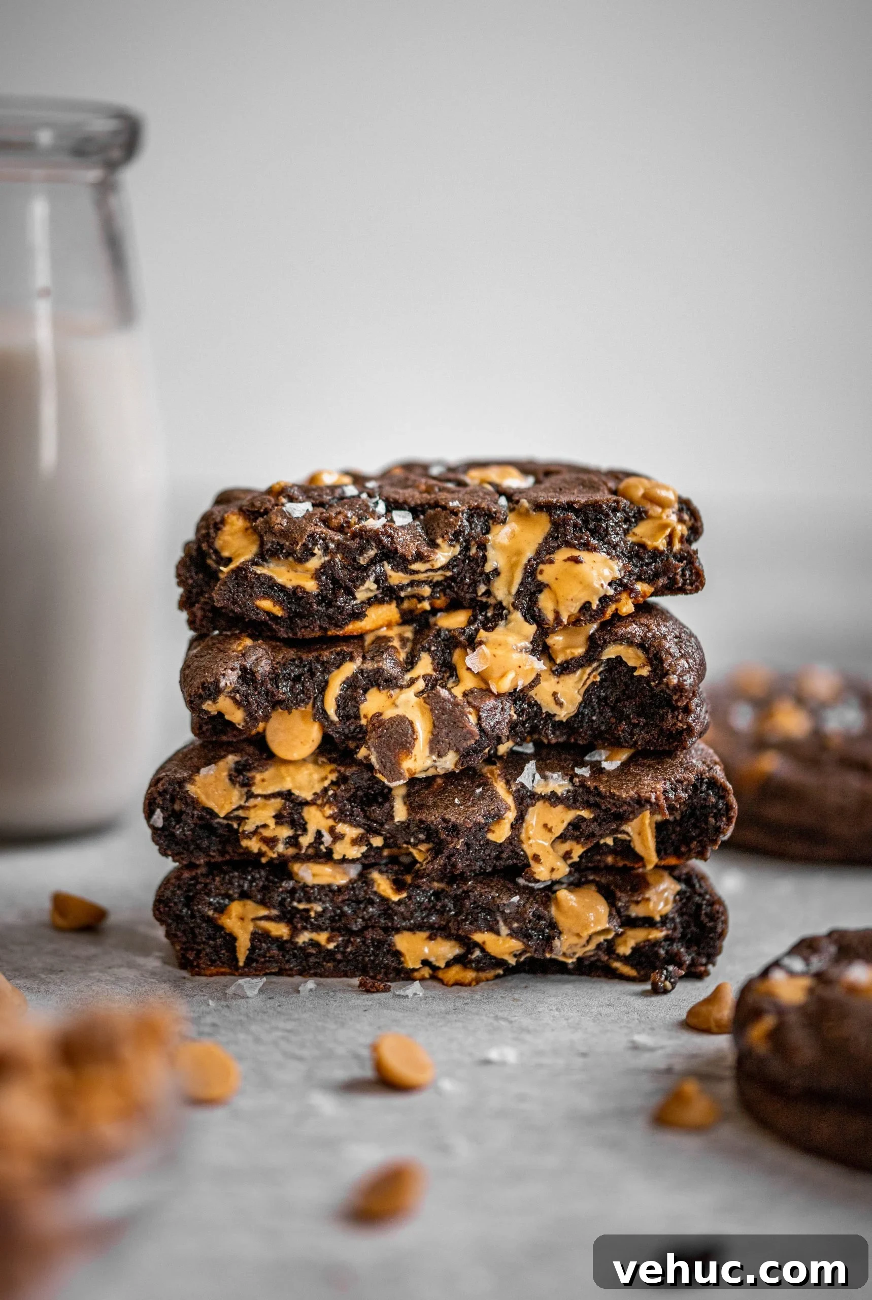 Copycat Levain Dark Chocolate Peanut Butter Chip Cookies 3 Copycat Levain Bakery Dark Chocolate Peanut Butter Chip Cookies