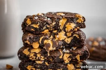 Copycat Levain Dark Chocolate Peanut Butter Chip Cookies 5 Copycat Levain Bakery Dark Chocolate Peanut Butter Chip Cookies