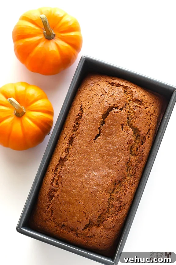 Coconut Oil Pumpkin Bread | gimmesomeoven.com #fall #recipe Coconut Oil Pumpkin Bread | gimmesomeoven.com #fall #recipe