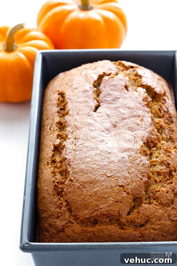 Coconut Oil Pumpkin Bread | gimmesomeoven.com #fall #recipe Coconut Oil Pumpkin Bread | gimmesomeoven.com #fall #recipe