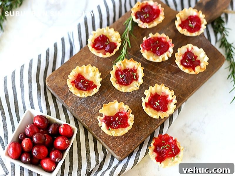 27 Festive Christmas Finger Food Appetizers for Holiday Parties 8 Bite-sized cranberry appetizers for the holidays