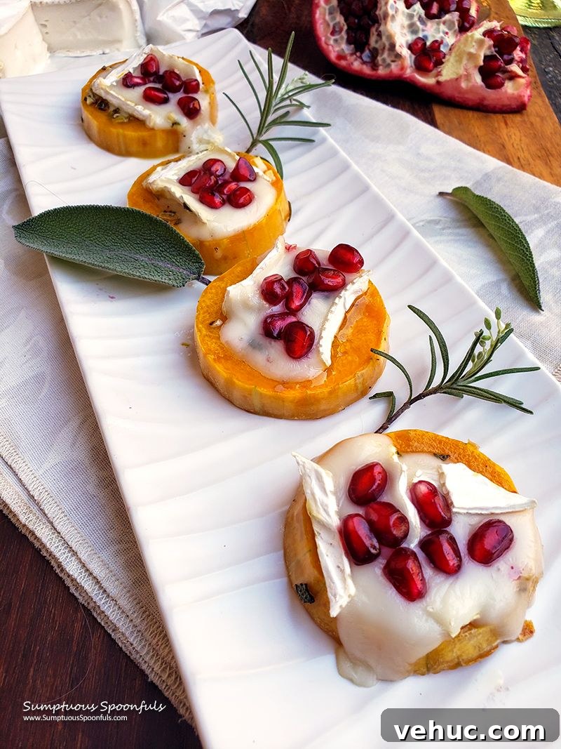 71 Festive Christmas Party Appetizers Your Guests Will Love 14 butterbut brie bites