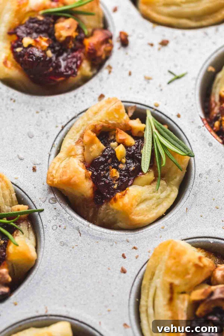 71 Festive Christmas Party Appetizers Your Guests Will Love 22 cranberry brie bites