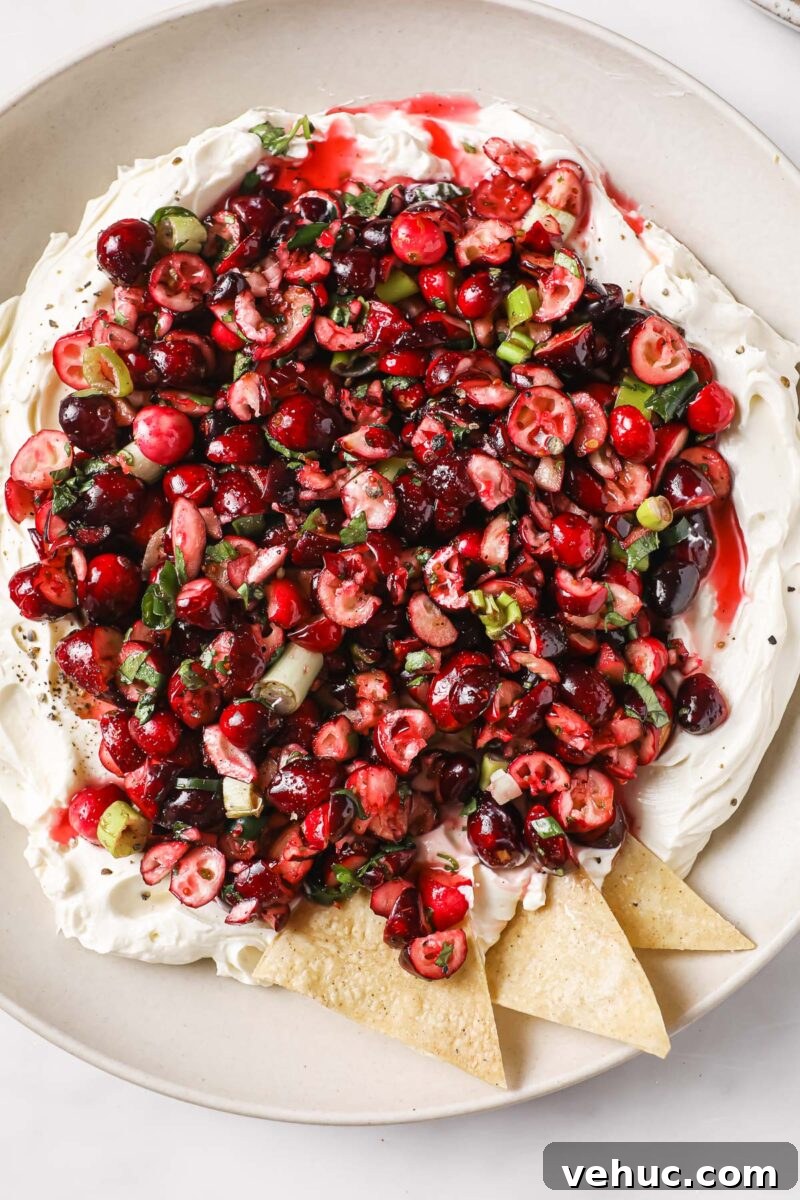 71 Festive Christmas Party Appetizers Your Guests Will Love 26 cranberry jalapeno cheese dip