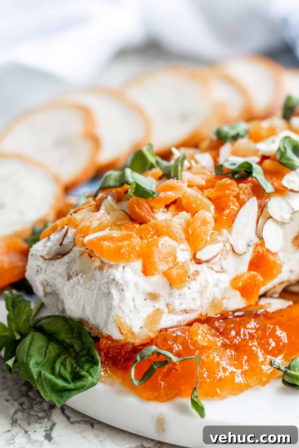 71 Festive Christmas Party Appetizers Your Guests Will Love 31 honey apricot goat cheese log