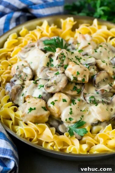 Crispy Oven-Baked Chicken Thighs with Garlic and Herbs 5 Chicken stroganoff with mushrooms, served over egg noodles.