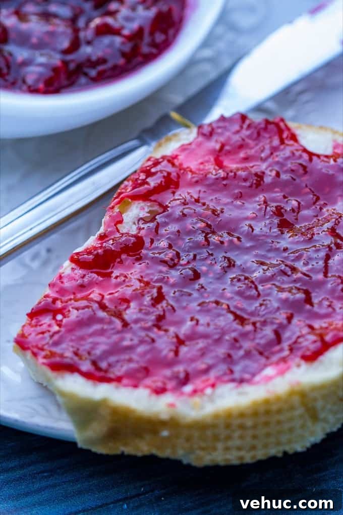 How to Make Homemade Raspberry Jam: Simple Step-by-Step Recipe 7 Straining raspberry seeds