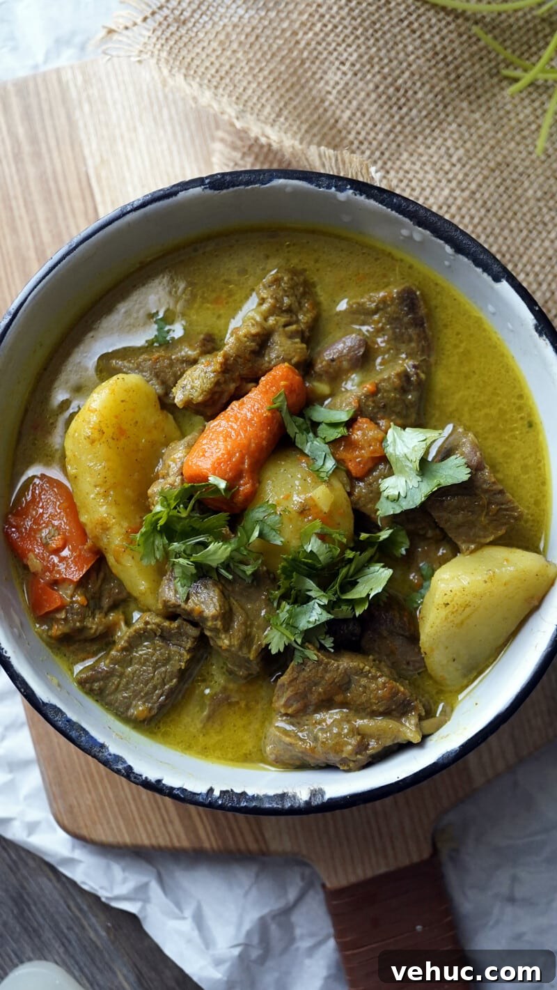 Instant Pot Duo Crisp Beef Curry: Tender, Flavorful Recipe 2 Quick and Easy Instant Pot Beef Curry