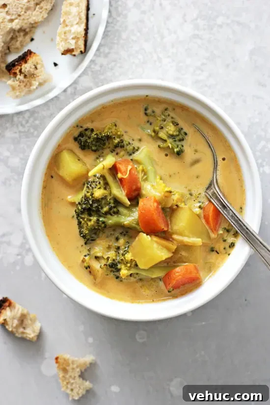 Creamy Dairy-Free Broccoli Soup Recipe for Smooth Flavor 5 A white bowl filled with dairy-free broccoli cheese soup.