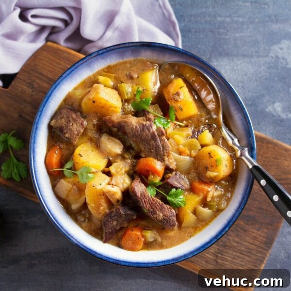 bowl of stew showing potatoes, meat, carrots and springs of parsley
