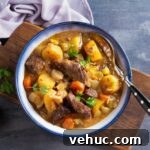 blue rimmed bowl with stew showing potatoes, carrots and bison with parsley